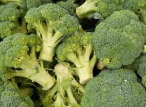 Photo of 5 tipi e varietà più famosi di broccoli