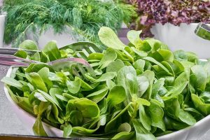 Photo of 4 tipi e varietà più famosi di spinaci