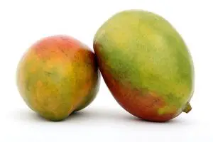 Photo of 16 Tipos y Variedades de Mango más Famosas y Deliciosas