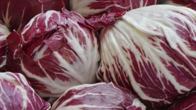 Photo of Coltivare Radicchio o Radicchio in Orto: Guida Completa