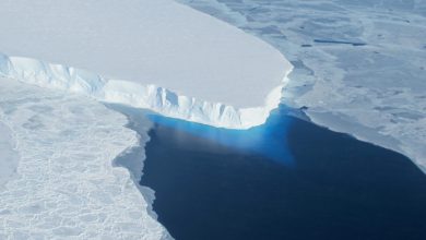 Photo of Agricoltura biologica per combattere il cambiamento climatico