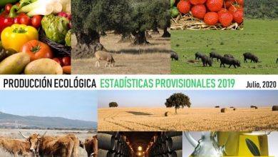 Photo of Agricoltura più ecologica: la crescita del settore bio in Spagna continua inarrestabile