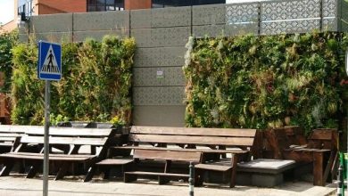 Photo of Giardini decorativi: la nuova tendenza dei giardini in città