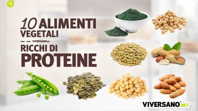 Photo of Alimenti ricchi di proteine ​​vegetali