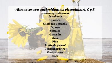 Photo of Antiossidanti: cosa sono, funzioni e migliori alimenti ricchi di antiossidanti
