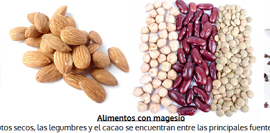 Photo of Alimenti al magnesio