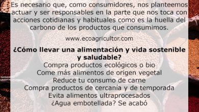 Photo of 12 consejos para que lleves una alimentación sostenible y saludable