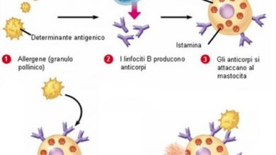 Photo of Allergia primaverile o febbre da fieno: cibi benefici per alleviare i sintomi