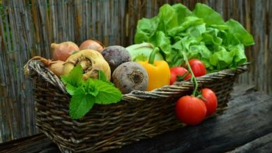 Photo of Come aumentare il raccolto dell’orto e ottenere più produzione