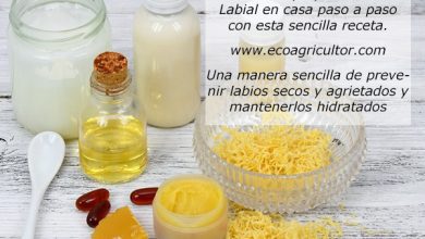 Photo of Balsamo per le labbra fatto in casa: ricetta passo passo per realizzare un balsamo che idrati e prevenga le labbra secche o screpolate