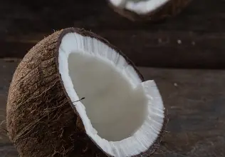 Photo of Cocco, proprietà e benefici per la salute