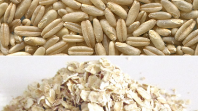 Photo of 12 motivi per mangiare la farina d’avena