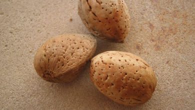Photo of Proprietà delle mandorle: [un alimento molto potente]
