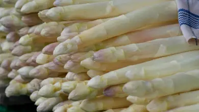 Photo of Benefici degli asparagi