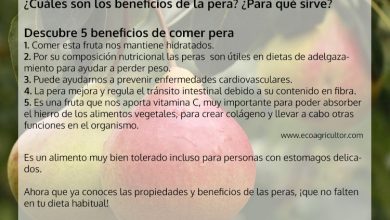 Photo of 5 benefici del mangiare una pera