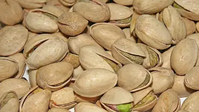 Photo of Frutta a guscio, proprietà e benefici per la salute