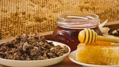 Photo of Integratori alimentari e naturali per l’autunno e l’inverno