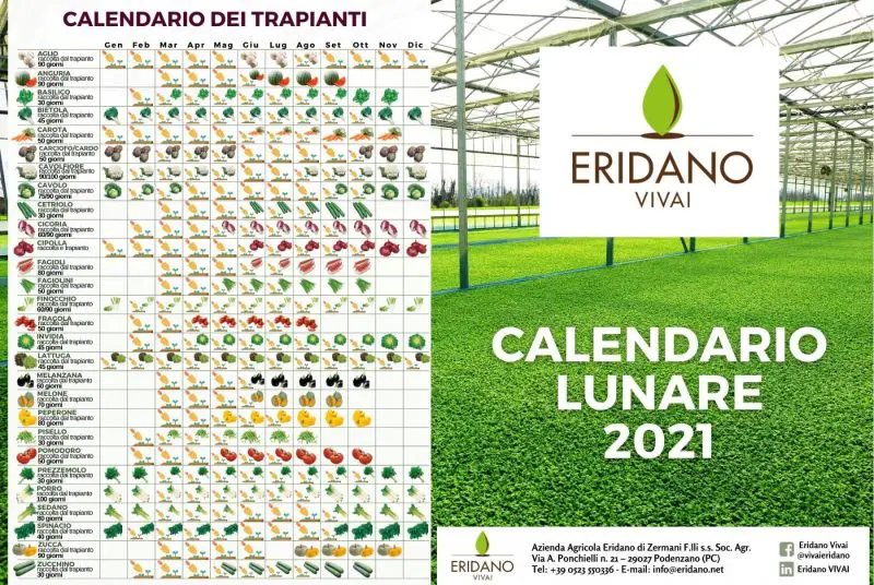 Calendario lunare di semine e trapianti secondo le fasi lunari Il Giardino Commestible