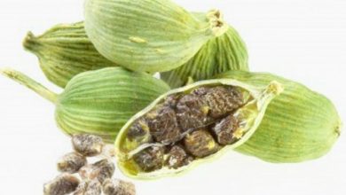 Photo of Il cardamomo è digestivo, previene gastriti, coliche intestinali e gonfiore