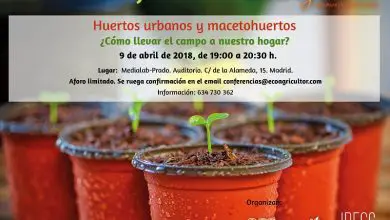 Photo of Conferenza sugli orti urbani e sui vasi da fiori a Madrid