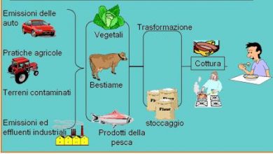 Photo of Chimica nella lavorazione degli alimenti III