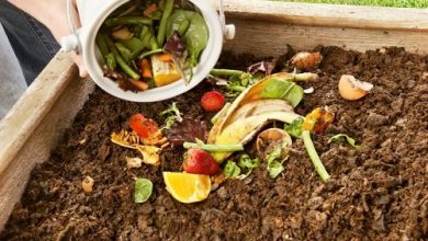 Photo of Come fare il compost in modo semplice