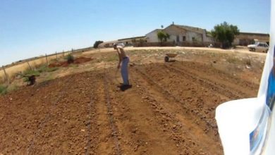 Photo of Suggerimenti per il dimensionamento di un giardino. Come fare il layout