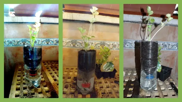 10 m Yusea corda di cotone stoppino auto-irrigante per piante in vaso auto-irrigazione fai da te