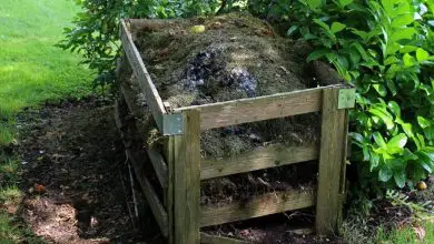 Photo of Compost: [Guida completa per creare il tuo compost]