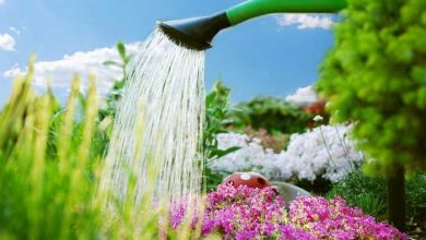 Photo of Conosci i diversi modi per innaffiare il tuo giardino o giardino? Come scegliere il miglior metodo di irrigazione
