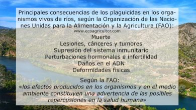 Photo of Inquinamento dei fiumi da pesticidi: una situazione preoccupante in Spagna