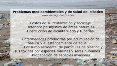 Photo of Plastica: problemi, alternative e misure per ridurla