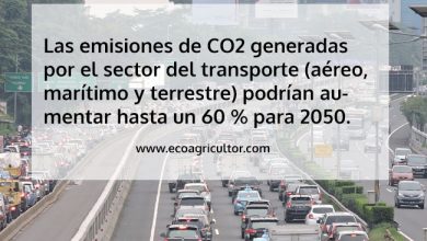 Photo of Cosa sai dell’inquinamento ambientale? L’inquinamento ambientale nei dati attuali