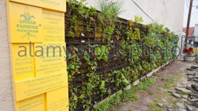 Photo of Creare giardini urbani nel centro sud di Los Angeles