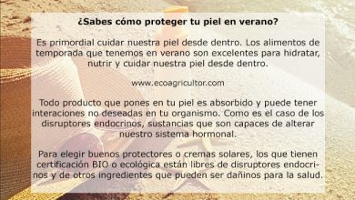 Photo of Sai come proteggere la tua pelle in estate? Come prendersi cura della propria pelle al sole e come scegliere una buona crema solare