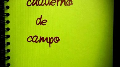Photo of Cuaderno de campo. Como hacerlo tu mismo