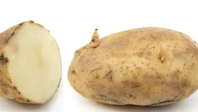 Photo of 10 passaggi per coltivare le patate in vaso o in sacco