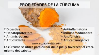 Photo of Curcuma: spezia dalle proprietà straordinarie