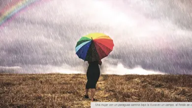 Photo of Giornata Internazionale della Madre Terra