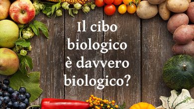 Photo of Ecco cosa succede a una famiglia dopo aver trascorso 2 settimane a mangiare solo cibo biologico
