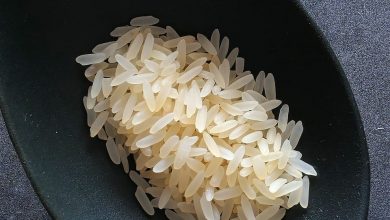 Photo of Piantare il riso in [11 passaggi e con immagini]: la guida di cui hai bisogno