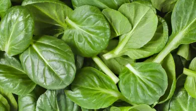 Photo of 14 proprietà nutrizionali e benefici degli spinaci