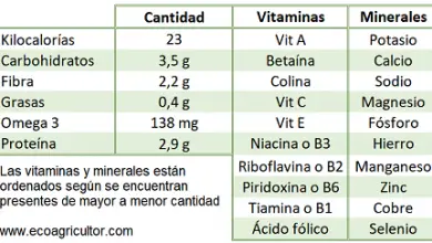 Photo of Spinaci: scopri il suo valore nutritivo, i benefici per la salute e una deliziosa ricetta per gustarli