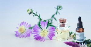 Photo of Estratti vegetali: [Concetto, Preparazione, Uso e Applicazione]