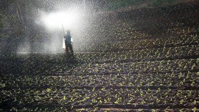 Photo of Cos’è il percolato? Cosa serve? Come possono beneficiarne il mio giardino e la mia agricoltura?