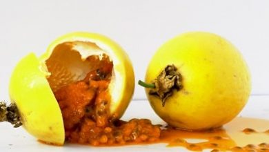 Photo of Frutto della passione o frutto della passione: stimola il metabolismo, alza le difese e si prende cura degli occhi