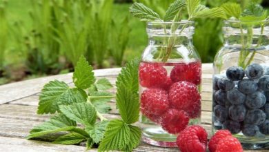 Photo of Frutti di bosco: come piantare mirtilli e lamponi in giardino