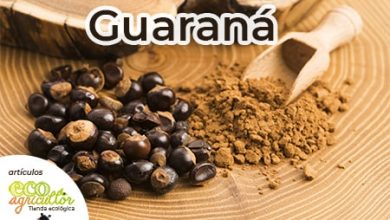 Photo of Guaranà: i semi che proteggono il fegato e lo stomaco e possono aiutarti a perdere peso