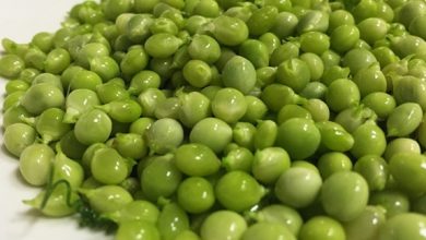 Photo of The Tear Pea: Perché è il Caviale Verde dell’orto?