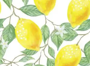 Photo of Malattia foglia gialla limone: cos’è e come trattarla?